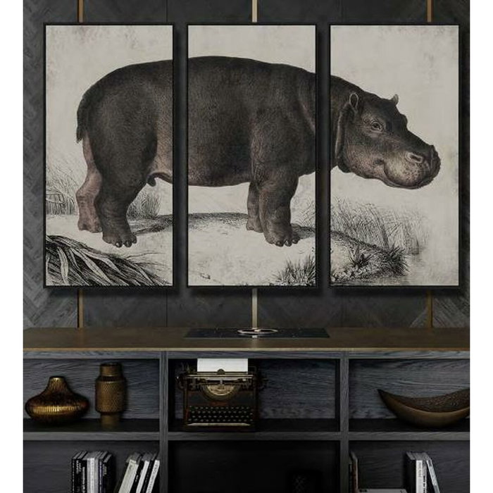 DKD Home Decor Set de 3 Cuadros sobre Lienzo Hipopótamo 180x4x120 cm DKD Home Decor Set de 3 Cuadros sobre Lienzo Hipopótamo 180x4x120 cm