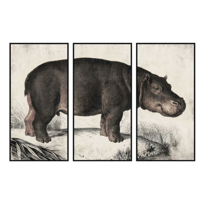 DKD Home Decor Set de 3 Cuadros sobre Lienzo Hipopótamo 180x4x120 cm DKD Home Decor Set de 3 Cuadros sobre Lienzo Hipopótamo 180x4x120 cm