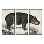 DKD Home Decor Set de 3 Cuadros sobre Lienzo Hipopótamo 180x4x120 cm
