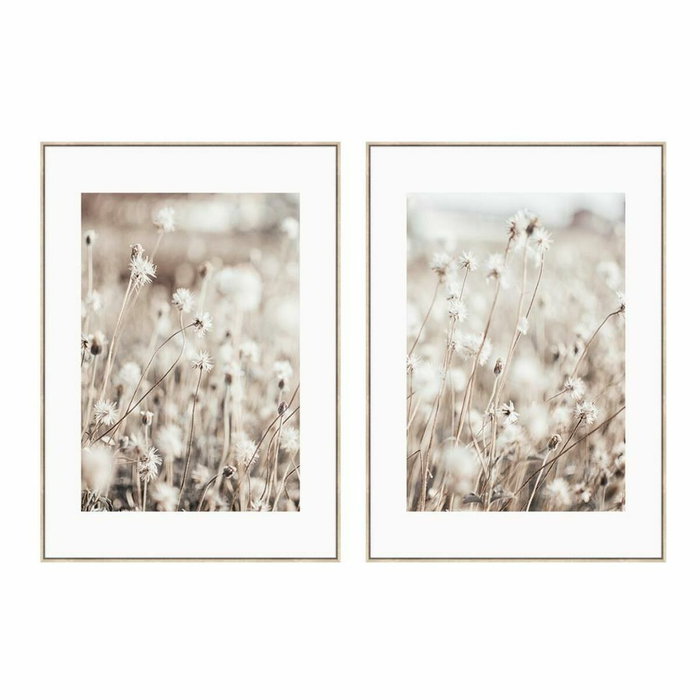 DKD Home Decor Cuadros de Flores Enmarcados Set de 2 unidades DKD Home Decor Cuadros de Flores Enmarcados Set de 2 unidades