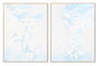 DKD Home Decor Cuadro de Hojas Enmarcado 90x120 cm, Pack de 2 Surtido Azul Celeste y Blanco