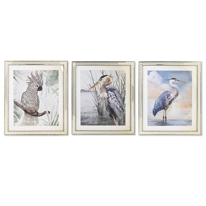 DKD Home Decor Set de 3 Cuadros Lienzo AVE Enmarcado 56x66 cm