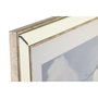DKD Home Decor Set de 3 Cuadros Lienzo AVE Enmarcado 56x66 cm
