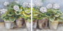 DKD Home Decor Cuadro Lienzo Pino 80x3,5x80 Macetas Surtido de 2