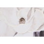 DKD Home Decor Cuadro Lienzo Florero Surtido de 2 Piezas 80x80 cm