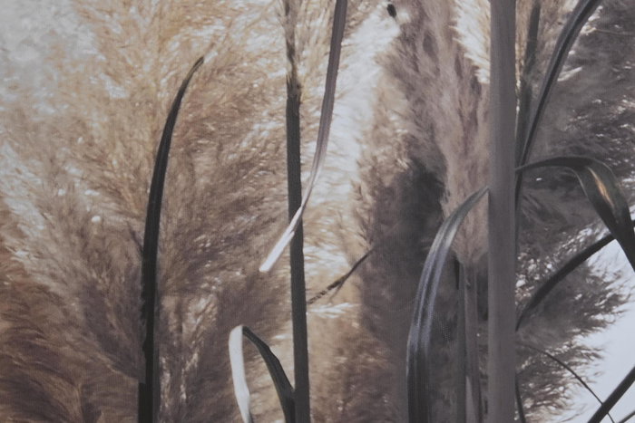 DKD Home Decor Cuadro Cottage Beige 123 x 83 cm (2 Unidades)