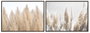 DKD Home Decor Set de 2 Cuadros de Lienzo Plumeros Beige Decoración Cottage