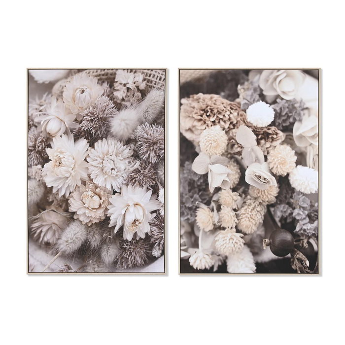 DKD Home Decor Cuadro de Flores Secas Beige, Pack de 2 piezas