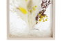 DKD Home Decor Decoración de Flores Secas MDF 16x6x21 Surtido de 2