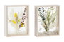DKD Home Decor Decoración de Flores Secas MDF 16x6x21 Surtido de 2
