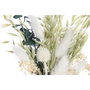 DKD Home Decor Decoración de Flores Secas MDF 16x6x21 Surtido de 2