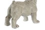 DKD Home Decor Figura Perro Resina Gris 39 x 28.5 x 19 cm