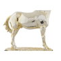 DKD Home Decor Figura de Caballo Metalizado Dorado en Resina
