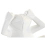 DKD Home Decor Figura de Resina Rana Surtido de 3 Unidades Blanco