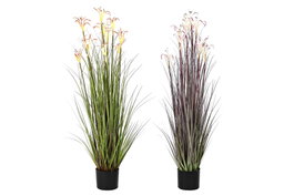 DKD Home Decor Set de 2 Plantas de Lirio Araña en PVC y Metal (35x35x114 cm)