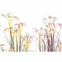 DKD Home Decor Set de 2 Plantas de Lirio Araña en PVC y Metal (35x35x114 cm)