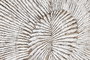 DKD Home Decor Cabecero de Cama MDF 180,5x3,5x100 Decapé Blanco