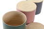 DKD Home Decor Bote Balines Verde Rosa Bambú 18 x 16 x 18 cm (3 Unidades)