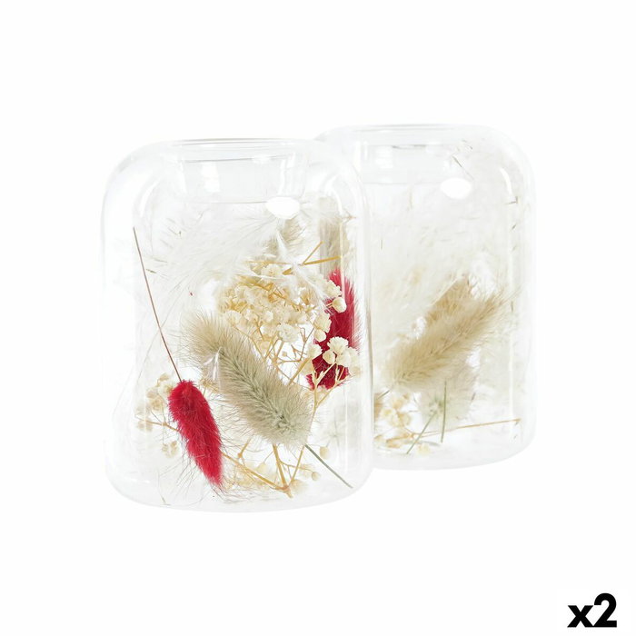 DKD Home Decor Portavelas de Cristal con Flor Seca 8x8x11 cm, Surtido de 2 unidades