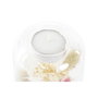 DKD Home Decor Portavelas de Cristal con Flor Seca 8x8x11 cm, Surtido de 2 unidades