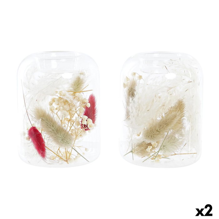DKD Home Decor Portavelas de Cristal con Flor Seca 8x8x11 cm, Surtido de 2 unidades
