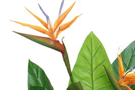 DKD Home Decor Planta Artificial Ave del Paraíso Strelitzia, 120 cm de Alto, Maceta PVC 80 x 80 x 120 cm