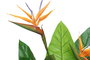 DKD Home Decor Planta Artificial Ave del Paraíso Strelitzia, 120 cm de Alto, Maceta PVC 80 x 80 x 120 cm