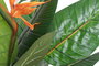 DKD Home Decor Planta Artificial Ave del Paraíso Strelitzia, 120 cm de Alto, Maceta PVC 80 x 80 x 120 cm