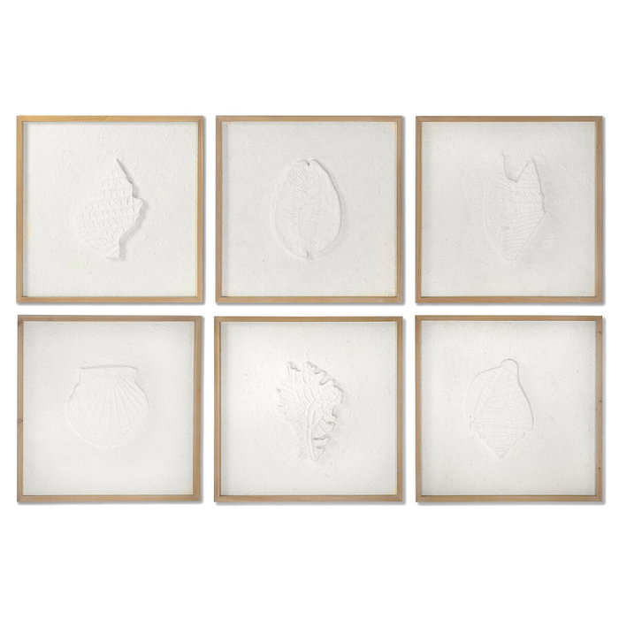 DKD Home Decor Set de 6 Cuadros Abeto y Conchas Blanco 50x50 cm
