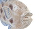 DKD Home Decor Figura de Pez en Albasia Natural y Azul