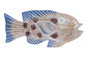 DKD Home Decor Figura de Pez en Albasia Natural y Azul