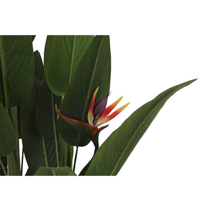 DKD Home Decor Planta de Ave del Paraíso Verde 90x90x200 cm DKD Home Decor Planta de Ave del Paraíso Verde 90x90x200 cm