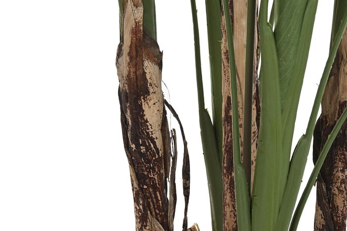 DKD Home Decor Planta Terraza Y Jardin Verde Naranja 90 x 200 x 90 cm