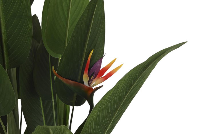 DKD Home Decor Planta Terraza Y Jardin Verde Naranja 90 x 200 x 90 cm