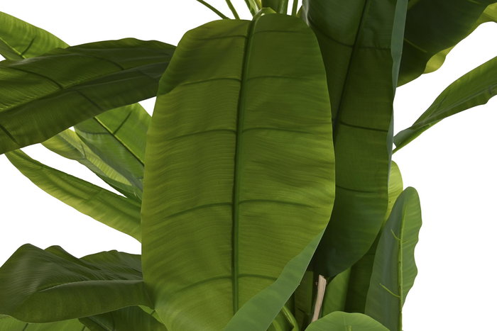 DKD Home Decor Planta Banana Verde 90 x 240 x 90 cm (2 Unidades) Terraza y Jardín