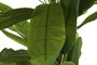 DKD Home Decor Planta Banana Verde 90 x 240 x 90 cm (2 Unidades) Terraza y Jardín