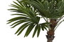 DKD Home Decor Palmera Decorativa Verde Beige Poliester Pp 100 x 205 x 100 cm (2 Unidades)