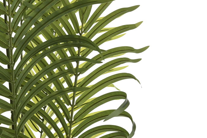 DKD Home Decor Planta Terraza Y Jardin Verde 100 x 100 x 240 cm