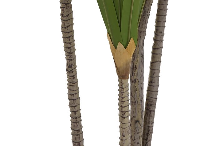 DKD Home Decor Planta 80 x 180 x 80 cm Verde para Terraza y Jardín