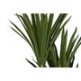 DKD Home Decor Planta Poliéster PP Verde 80x80x180 cm
