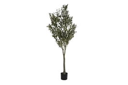 DKD Home Decor Árbol para Terraza y Jardín Verde Oscuro 80 x 180 x 80 cm (2 Unidades)
