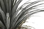 DKD Home Decor Palmera Verde y Beige de Poliéster