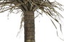 DKD Home Decor Palmera Verde y Beige de Poliéster