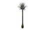 DKD Home Decor Palmera Verde y Beige de Poliéster