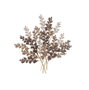 DKD Home Decor Decoración de Pared de Metal con Ramas en Beige