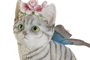 DKD Home Decor Set de 4 Figuras de Resina Conejo y Gato Surtido
