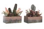 DKD Home Decor Planta Decorativa Cactus Surtido de 2 Piezas (Naranja y Rosa)