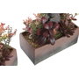 DKD Home Decor Planta Decorativa Cactus Surtido de 2 Piezas (Naranja y Rosa)