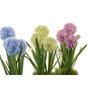 DKD Home Decor Planta Rosa Azul 15 x 30 x 15 cm (3 Unidades)