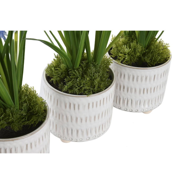 DKD Home Decor Planta Rosa Azul 15 x 30 x 15 cm (3 Unidades) DKD Home Decor Planta Rosa Azul 15 x 30 x 15 cm (3 Unidades)